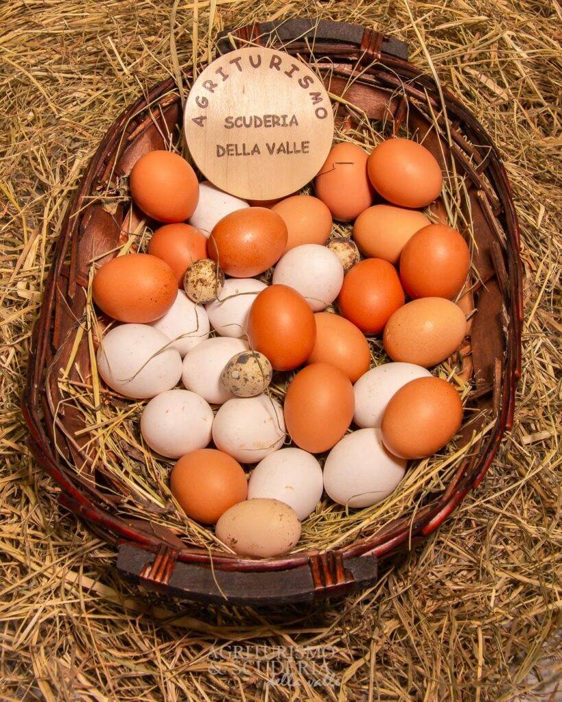 prodotti alimentari